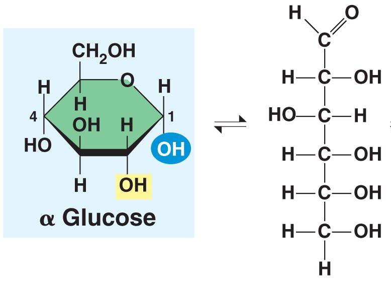 Why is sucrose not a reducing sugar? 